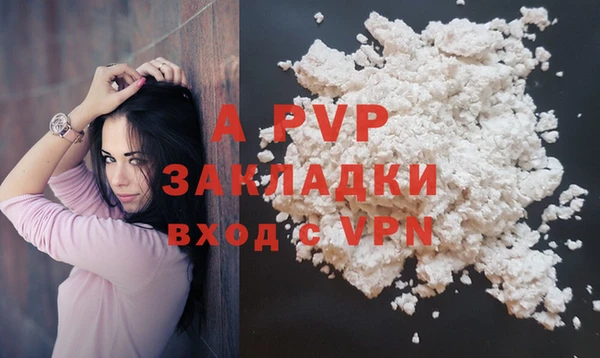 ECSTASY Заводоуковск