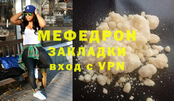 индика Елабуга
