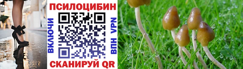 Псилоцибиновые грибы Psilocybine cubensis  Инза 